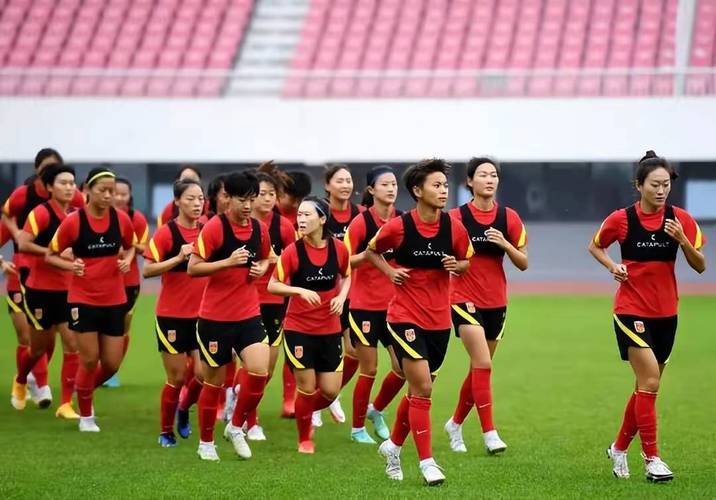 中国女足新一期名单：王霜、李梦雯、张琳艳、吴海燕、唐佳丽在列