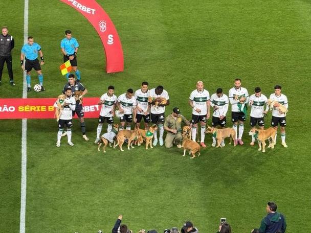 小狗球童！巴乙科里蒂巴球员牵着受救助的小狗入场，鼓励人们领养