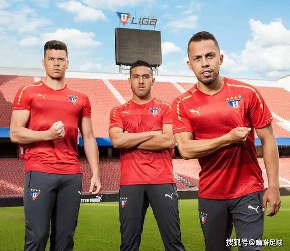 解放者杯半决赛对阵：基多体育大学vs帕尔梅拉斯，竞技vs弗拉门戈