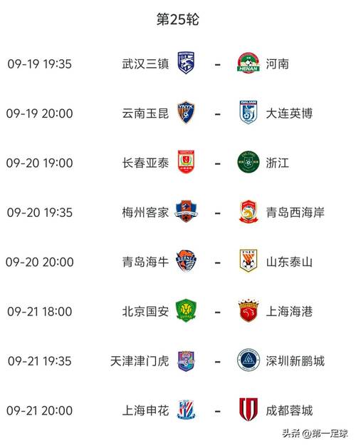 中超前5名球队除了申花米内罗路易斯其他射手都是25轮全勤
