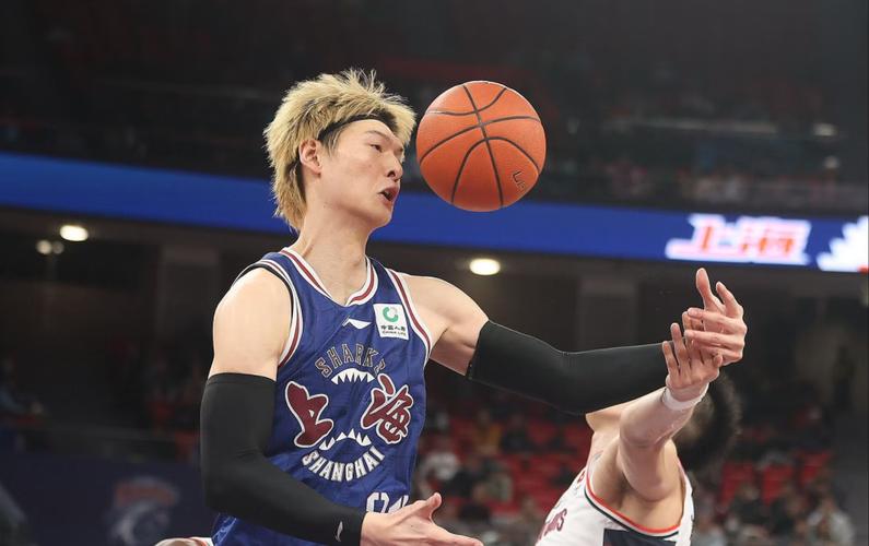 王哲林谈被网暴：世界杯期间经常接到骚扰电话 接起来就骂你