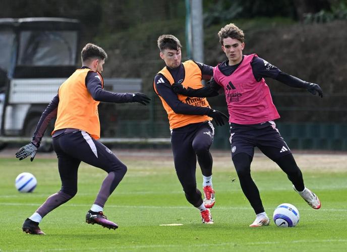 赖斯:道曼15岁就在一线队挥洒自如 恩瓦内里和斯凯利成长很快