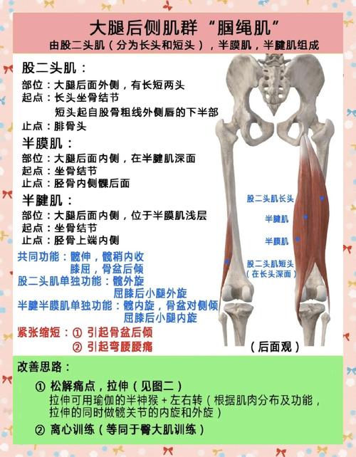 都体:卡巴尔右大腿后侧肌肉受伤,预计将在周四接受检查