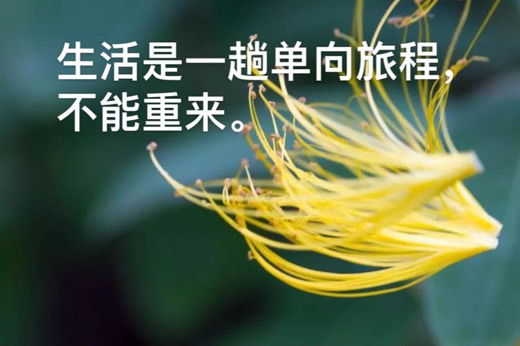 帕努奇:莱奥也可以踢中锋的位置,但他需要付出更多的努力