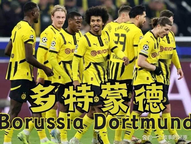 图片报:多特6人合同将到期,埃姆雷-詹、聚勒等4人离队可能性大