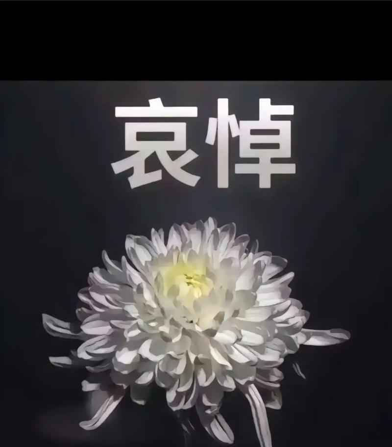 山东哀悼徐长锁指导:以灯传灯,心灯不灭,师恩致远,深切缅怀