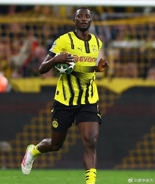 图片报:多特前锋吉拉西因伤退出几内亚国家队名单,已返回德国