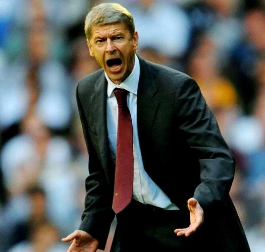 阿森纳名宿：19岁加盟枪手是人生重大转折 温格对我至关重要