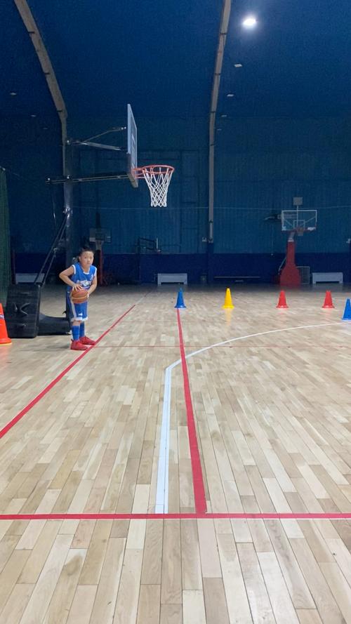 从NBA季前赛练级归来⛹️‍♂️把海外磨练成果兑现 龙狮力克对手