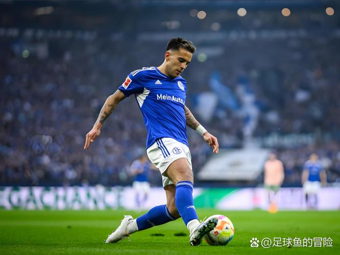 沙尔克04今年能否重返德甲？ 穆斯利奇带队重回正轨