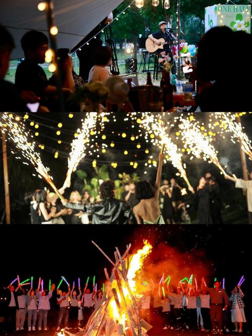 主队降级！瑞典北雪平球迷比赛时向球场投掷烟花，导致草坪着火